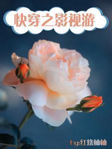 快穿综影视文
