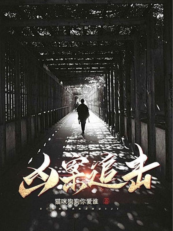 凶案追击莫伊莱txt