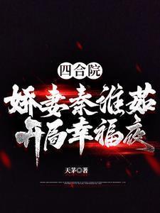 四合院魂穿秦淮茹