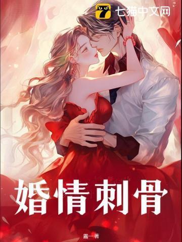 婚刺免费阅读全文