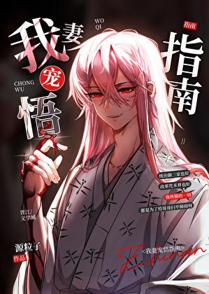 我妻宠悟指南免费观看