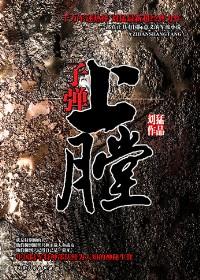 子弹上膛免费阅读