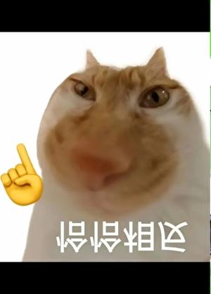 长生种开启了猎人朋友圈百度