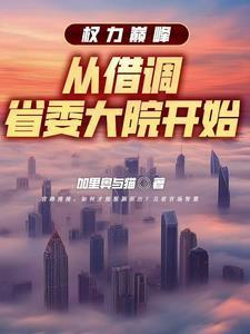 权力巅峰从借调省委大院开始人物关系