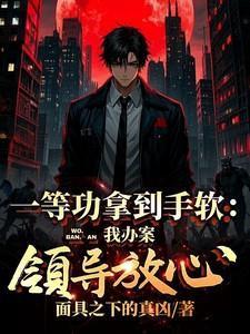 一等功拿到手软:我办案领导放心