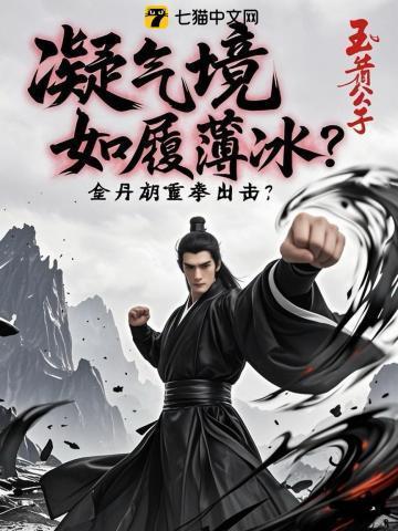 凝气境如履薄冰,金丹期重拳出击?