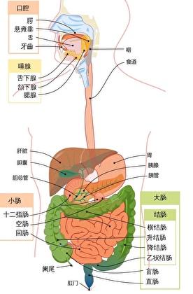 原来我不是精神病啊
