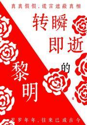 转瞬即逝的黎明