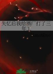 失忆后我给酒厂打了三年工