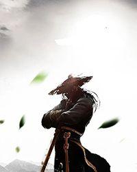 (武侠同人)从小酒馆到武林城