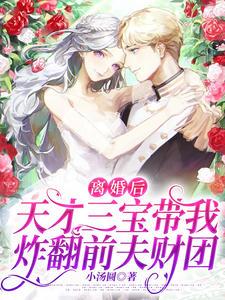 离婚后,天才三宝带我炸翻前夫财团