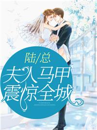 陆总,夫人马甲震惊全城