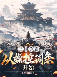 三国争霸,从操控词条开始