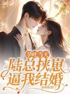 孕吐当天,陆总挟崽逼我结婚